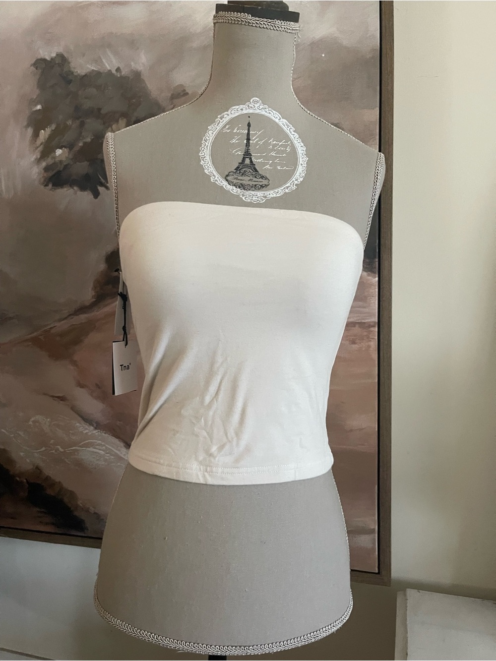 Aritzia Strapless Bandeau in Matt Pearl